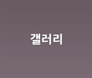 갤러리